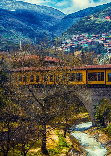 Bursa